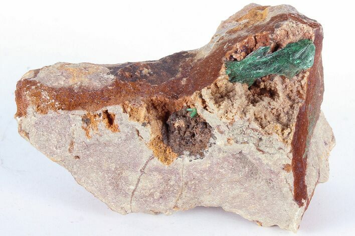 Fibrous Green Malachite Crystals on Matrix - Morocco #184046